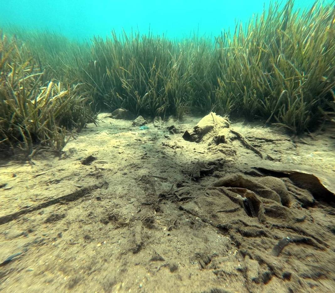 Bunu balıklar yıkansın diye mi denize attın! Deniz dibi temizliğinde 'Pes' dedirten görüntüler... 11